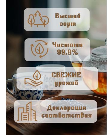 treelove Anchan - Buy Online on GoSupps.com