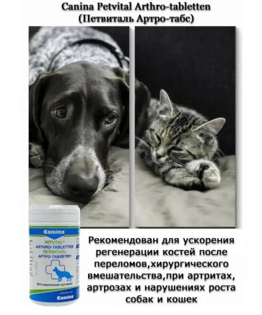 Canina pharma GmbH Chondroprotector for the joints of dogs Arthro-Tabletten 60 Tab - Buy Online on GoSupps.com