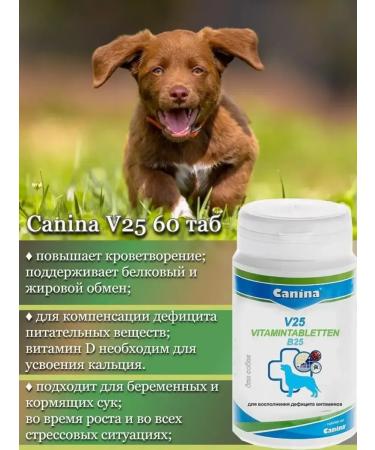 Canina pharma GmbH Vitamins for dogs and puppies for immunity V25 (60Tab.) - Buy Online on GoSupps.com