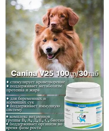 Canina pharma GmbH Vitamins for dogs of large and small V25 breeds (30 tab.) - Buy Online on GoSupps.com