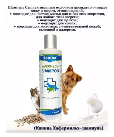 Canina pharma GmbH Shampoo for dogs cats Hafermilch-shampoo250 ml Germany - Buy Online on GoSupps.com