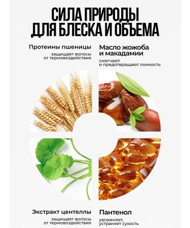 BAZE PROFESSIONAL Women's hair shampoo with balm and spray Shine & Volume - Buy Online on GoSupps.com