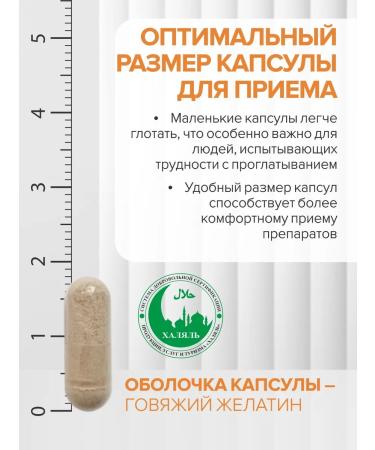 Gypsy Inositol 1000 mg + folic acid 400 g for women - Buy Online on GoSupps.com