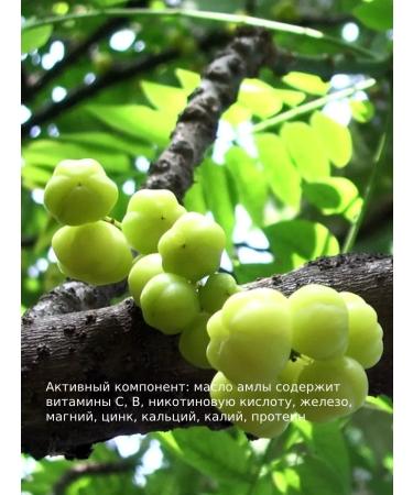 WIPLUS Amla Oil for Gray Hair - Buy Online on GoSupps.com