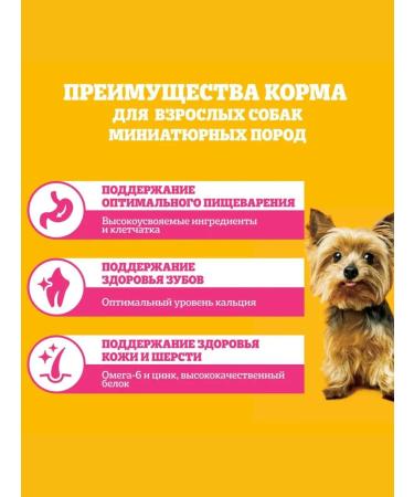 PEDIGREE Dry food for dogs of miniature rocks beef 500 g - Buy Online on GoSupps.com