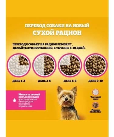 PEDIGREE Suy food for dogs miniature porod beef 500g - Buy Online on GoSupps.com