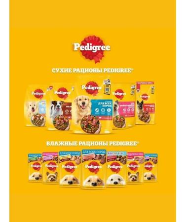 PEDIGREE Suy food for dogs miniature porod beef 500g - Buy Online on GoSupps.com