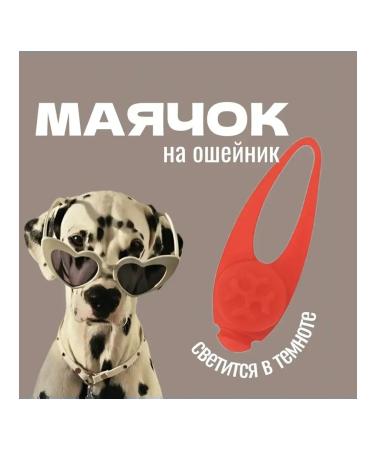 Lumining keychain on a collar for dogs and a Cat Lighthouse 2pcs - Buy Online on GoSupps.com