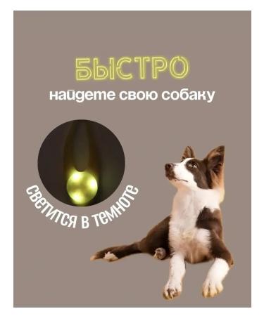 Lumining keychain on a collar for dogs and a Cat Lighthouse 2pcs - Buy Online on GoSupps.com
