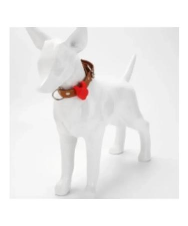 Lumining keychain on a collar for dogs and a Cat Lighthouse 2pcs - Buy Online on GoSupps.com