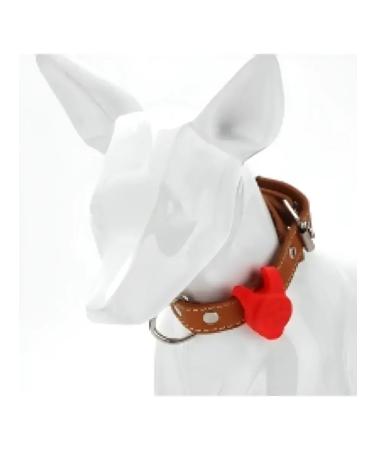 Lumining keychain on a collar for dogs and a Cat Lighthouse 2pcs - Buy Online on GoSupps.com