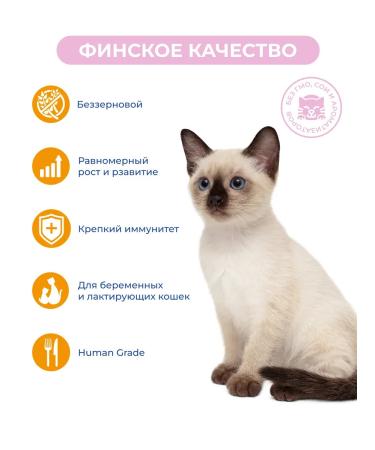 Jarvi elaman Wet food for kittens veal in sauce 85 g x 12 pcs - Buy Online on GoSupps.com