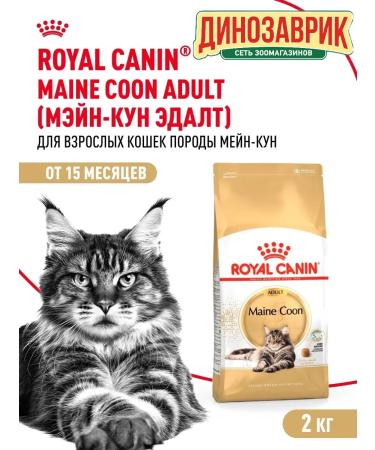 ROYAL CANIN Dry food Maine Coon for cats Maine Kun 2 kg