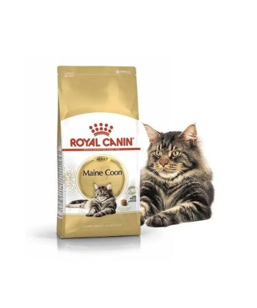 ROYAL CANIN Dry food Maine Coon for cats Maine Kun 2 kg - Buy Online on GoSupps.com