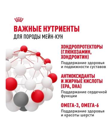 ROYAL CANIN Dry food Maine Coon for cats Maine Kun 2 kg - Buy Online on GoSupps.com