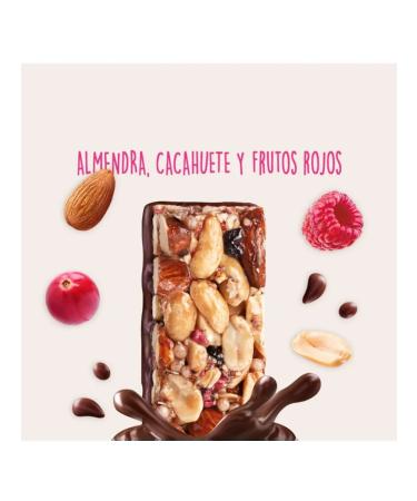 El Almendro Baton without sugar from almonds with berries and chocolate 120g - Buy Online on GoSupps.com