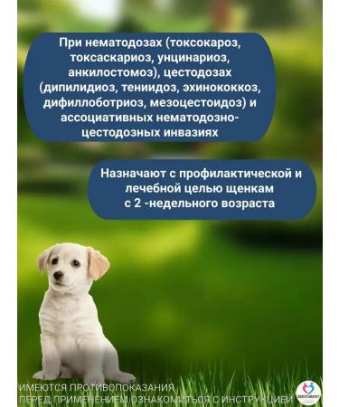 ASTRAPHARM Prasitar Suspension from worms for dogs and puppies  - Buy Online on GoSupps.com