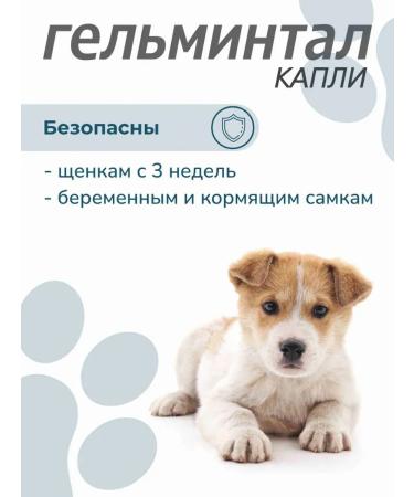 Gelmintal Drops from worms and fleas for dogs more than 10 kg - Buy Online on GoSupps.com