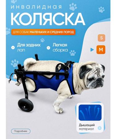 Wheelchair for dogs on the hind legs