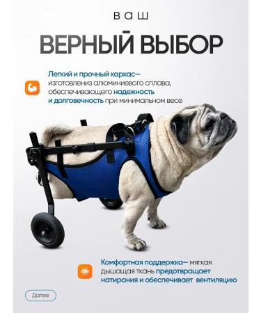 Wheelchair for dogs on the hind legs - Buy Online on GoSupps.com