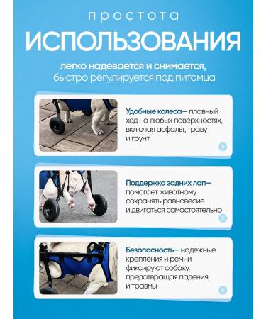 Wheelchair for dogs on the hind legs - Buy Online on GoSupps.com