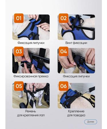 Wheelchair for dogs on the hind legs - Buy Online on GoSupps.com