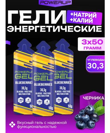 Powerup Energy gel in Sasha 50 g. Blueberries 3 pieces