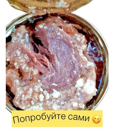 NOT FOR SALE Beef stewed canned food stew Borisoglebskaya Higher variety - Buy Online on GoSupps.com