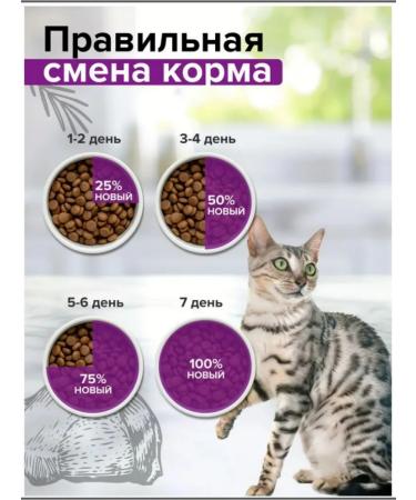 DOCTRINE Bezernovaya d cats with a feeling. food. Indekea rabbit3kg - Buy Online on GoSupps.com