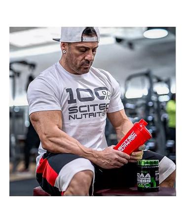 Scitec Nutrition BCA glutamine Scitec BCAA Glutamine Xpress 300G Mojito - Buy Online on GoSupps.com