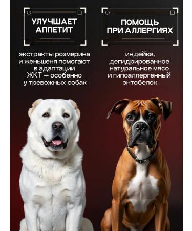 cosmodog Dog food hypoallergenic with a probiotic turkey 5 kg - Buy Online on GoSupps.com