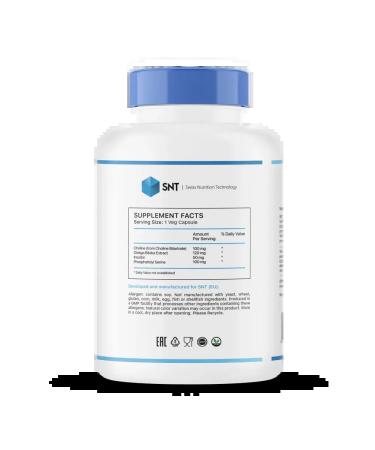 SNT Ginkgo biloba for the brain memory 100 kap - Buy Online on GoSupps.com