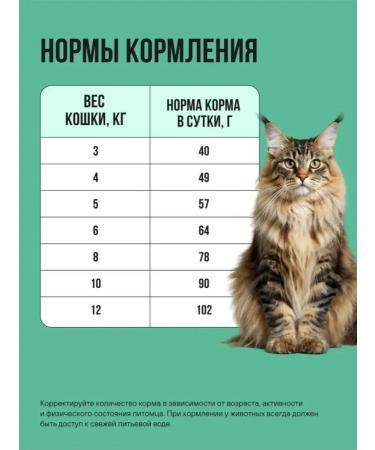 BOWL WOW Feed for sterilized turkey chicken spinach 4 kg - Buy Online on GoSupps.com