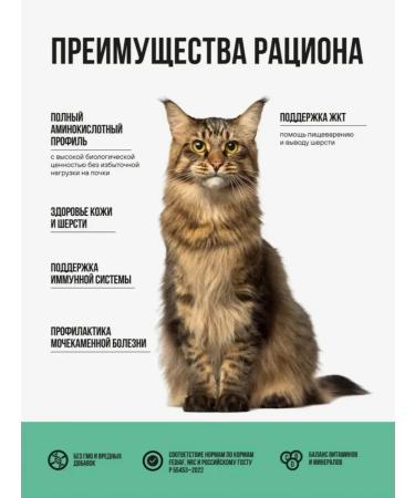 BOWL WOW Feed for sterilized turkey chicken spinach 4 kg - Buy Online on GoSupps.com