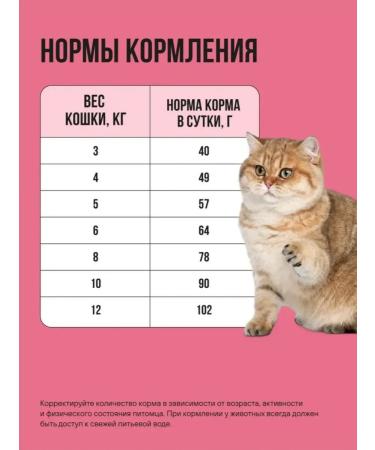 BOWL WOW Feed for sterilized lamb chicken cranberries 8kg - Buy Online on GoSupps.com