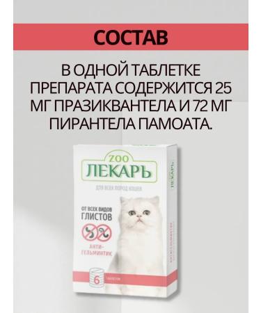 ZOO Doctor Cat workers for cats 6pcs - Buy Online on GoSupps.com