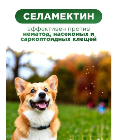 KRKA Sealess for dogs weighing 10.1 to 20 kg - Buy Online on GoSupps.com