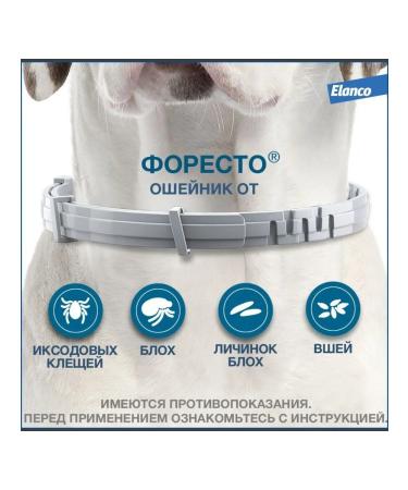 Elanco Collar 38 cm from ticks and fleas for dogs less than 8 kg of Forest - Buy Online on GoSupps.com