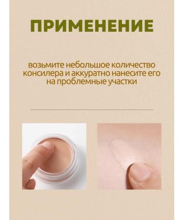 THE SAEM Cover Cover Perfection Pot Concealer 02 - Buy Online on GoSupps.com