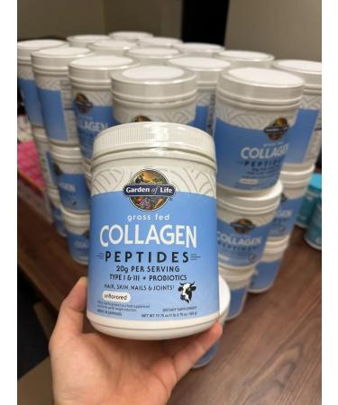 Garden of Life Collagen without taste 560g - Buy Online on GoSupps.com