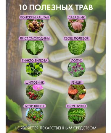 Dietary supplements of Siberia Venotonik for veins from varicose veins 120 capsules - Buy Online on GoSupps.com