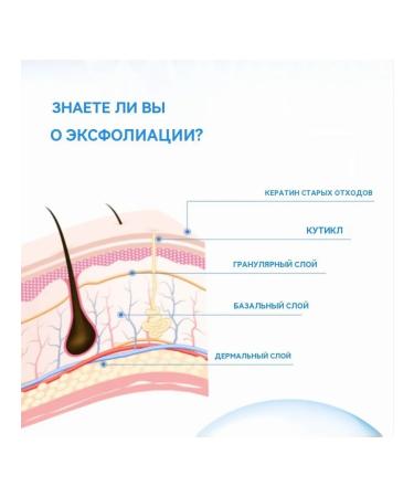 Snefe Piling-gel for the face Cleaning pores 250 g - Buy Online on GoSupps.com