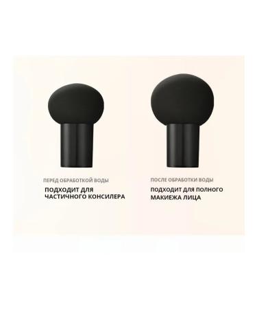 New Cream Mushroom HEAD AIR Cushion CC Cream - Buy Online on GoSupps.com