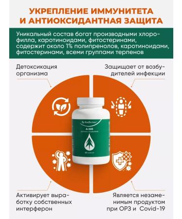 Pleiades+ Coniferous complex for digestion and from intestinal infections - Buy Online on GoSupps.com