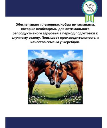 IPPOLAB Ippomin Fertil Base 450gr - Buy Online on GoSupps.com