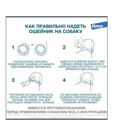 Foresteader 70 cm for dogs more than 8 kg (Elanco) - Buy Online on GoSupps.com