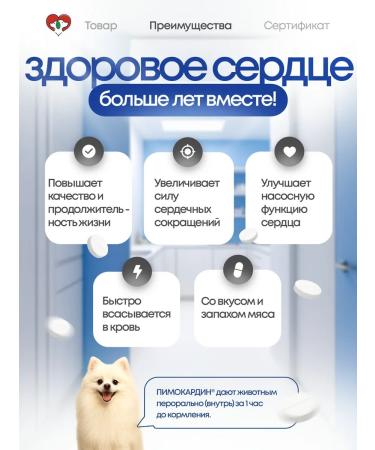 AVZ Pimocardin tablets for dogs 10 mg 50 tab. Pimobendan - Buy Online on GoSupps.com