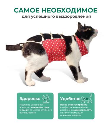 Petit Popona for a cat postoperative No. 1 2-5 kg - Buy Online on GoSupps.com