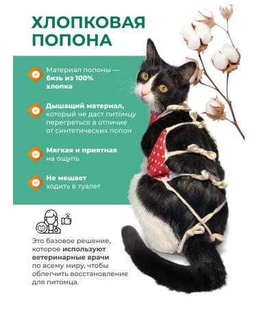 Petit Popona for a cat postoperative No. 1 2-5 kg - Buy Online on GoSupps.com