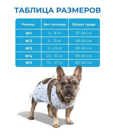 Petit Popon for dogs postoperative No. 2 6-15 kg - Buy Online on GoSupps.com